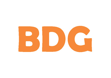 BDG Web Design